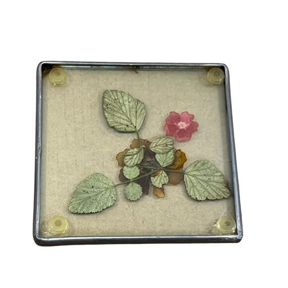 Real Pressed Flower UPSIDE Down Coaster Metal and Glass for Drinks Home Deco MCM - Picture 1 of 11